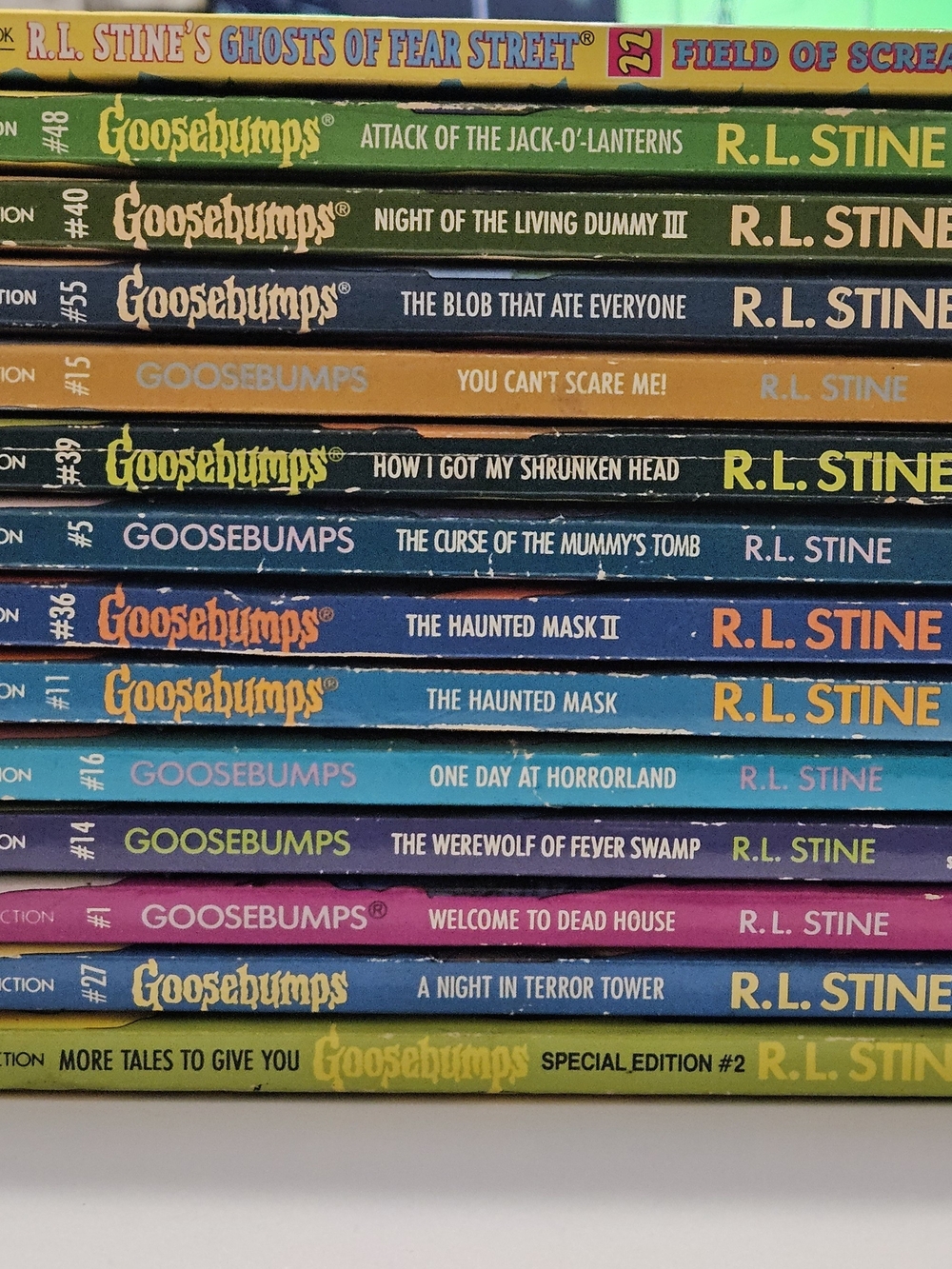 Goosebumps Books Bundle